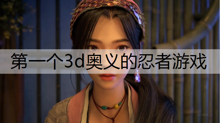 第一个3d奥义的忍者游戏