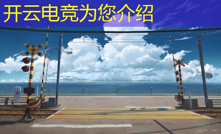 kaiyun·开云电竞为您介绍：幼儿园电竞班教案大班